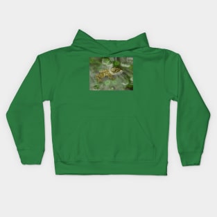 Frog in the water Kids Hoodie